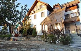 Vila Slanic